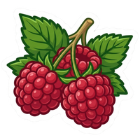 Raspberry